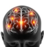 3D render of a medical figure with brain highlighted on white background